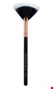 Fan Makeup Brush Offer